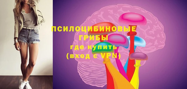 ПСИЛОЦИБИНОВЫЕ ГРИБЫ Бугульма