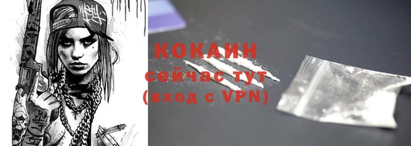 бошки Бронницы