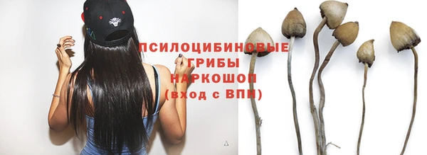 jwh Бородино