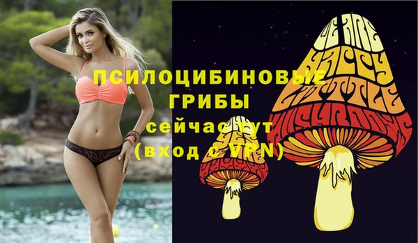 jwh Бородино