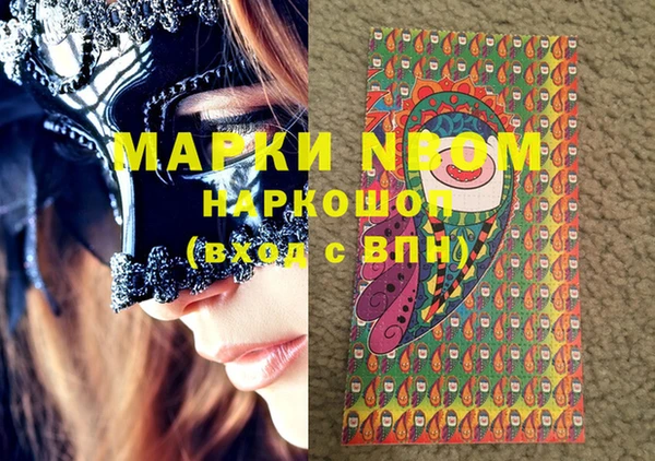 бошки Бронницы