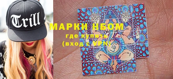 бошки Бронницы