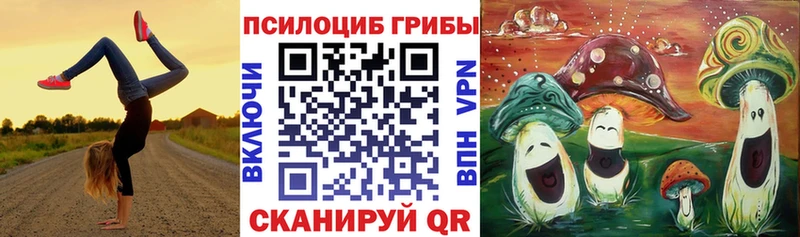 Галлюциногенные грибы MAGIC MUSHROOMS  Петрозаводск 